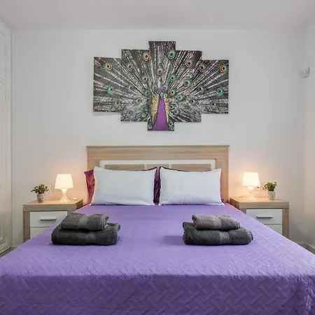 Casa Barriguita 2